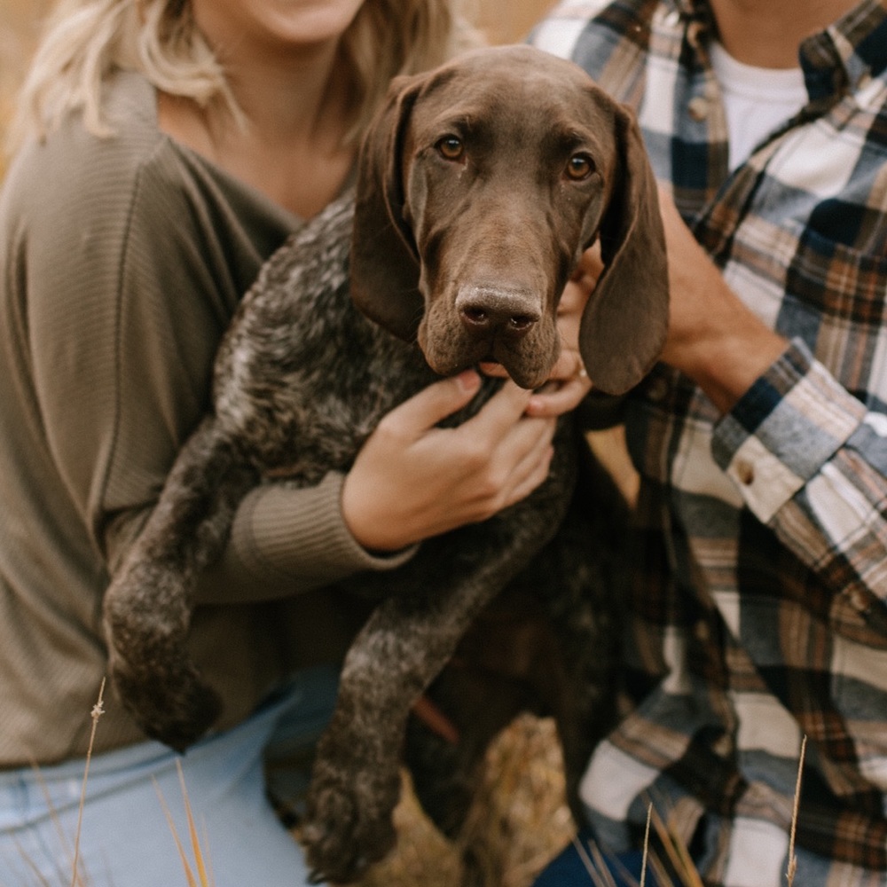 Meet your Posher, Bentley